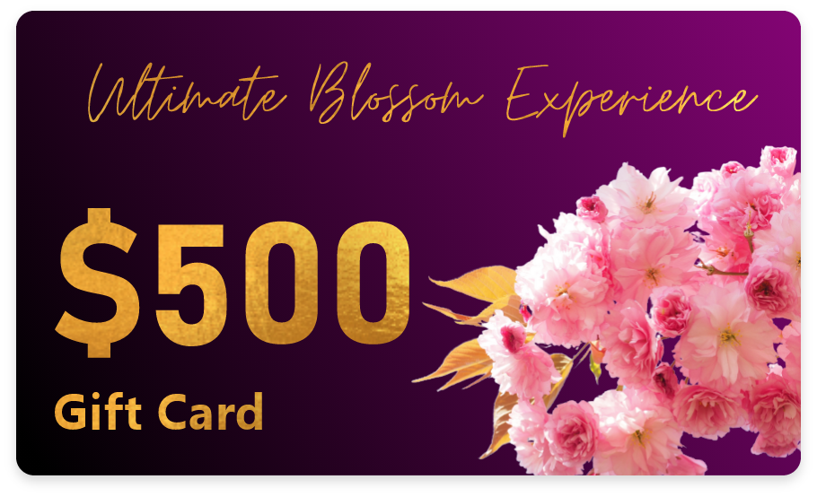 spa-gift-cards-capital-blossom-day-spa